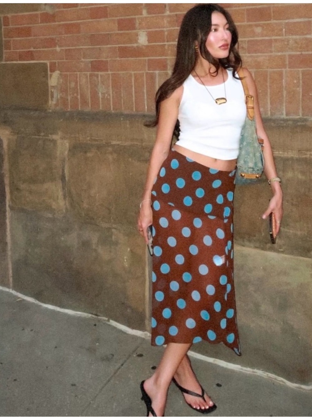 Zara Polka Dot Brown and Blue Midi asymmetrical Sheer Skirt